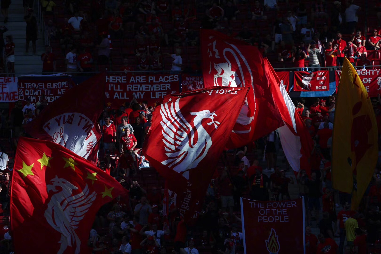 先活下来 先活下来