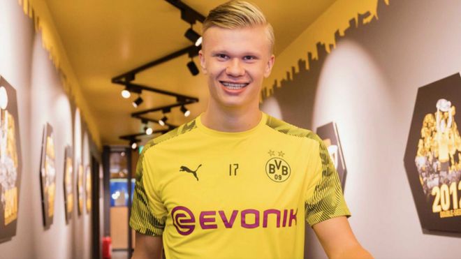 生长公益的 生长公益的